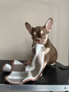 ลูกสาวชอคนิวเฉด