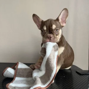 ลูกสาวชอคนิวเฉด