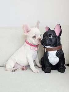 ลูกสาวแพลตตินัม