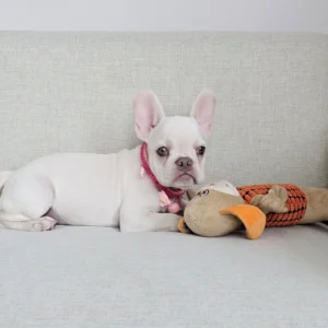 ลูกสาวแพลตตินัม