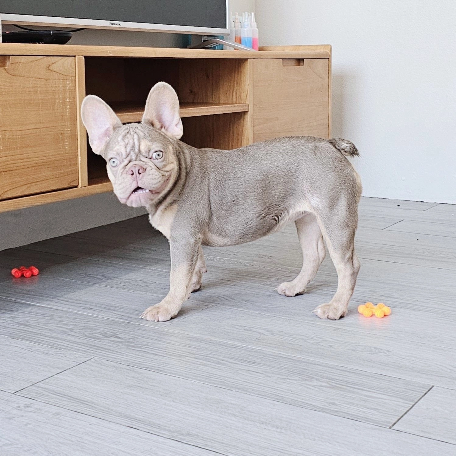 ลูกสาวนิวเฉดอิสเบลล่าแทน แครี่ครีม - Image 3