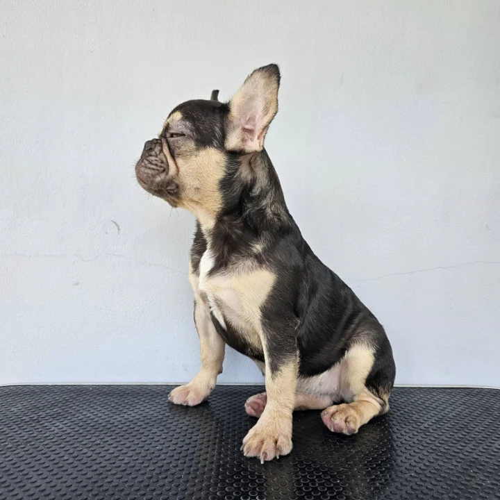 ลูกสาวชอคแทน - Image 3